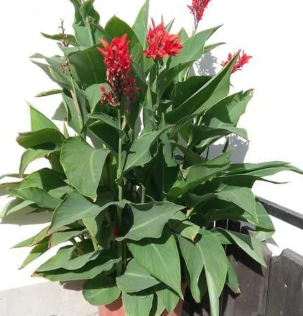 Habitación en casa particular Bundschuh *