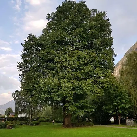 Habitación en casa particular Bundschuh *