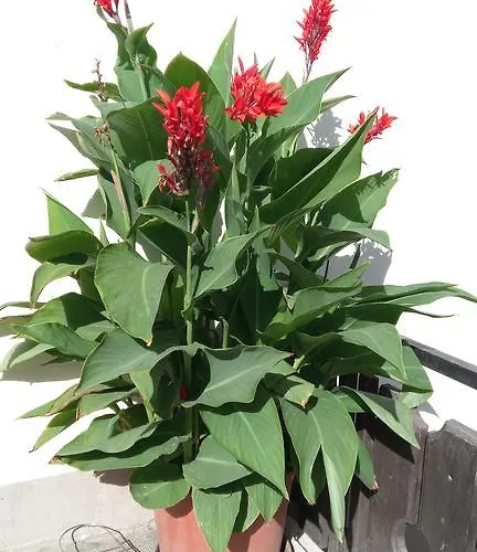 Rum i privatbostad Bundschuh *